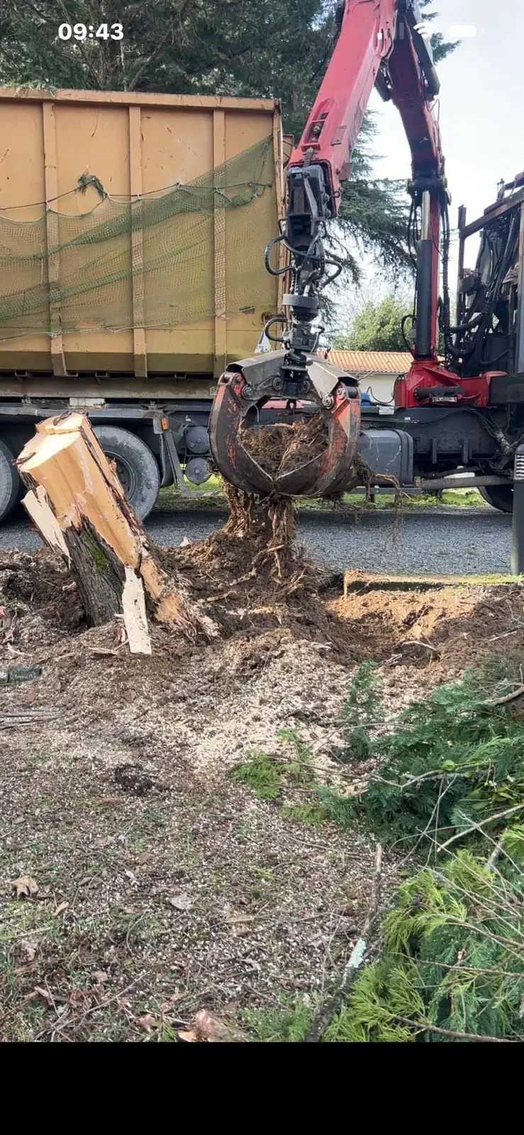 Chantier Élagage Urgence Helfrick.A, photo 3