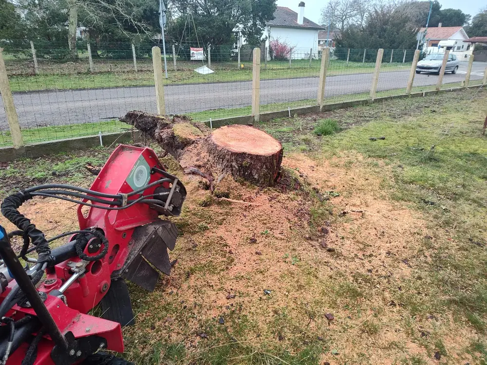 Chantier Élagage Urgence Helfrick.A, photo 5