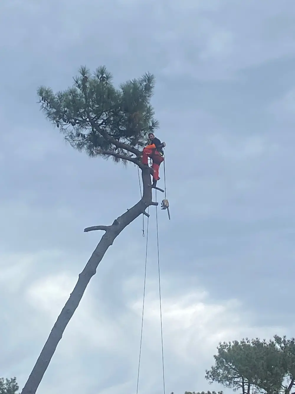 Chantier Helfrick.A en Gironde
